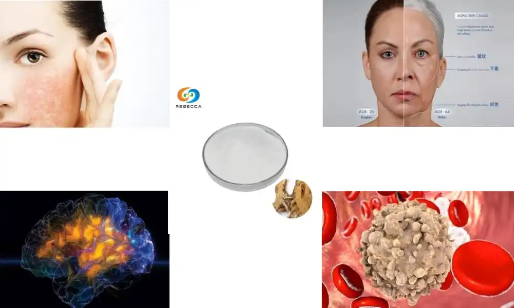 Feel Energized Daily with Resveratrol Powder